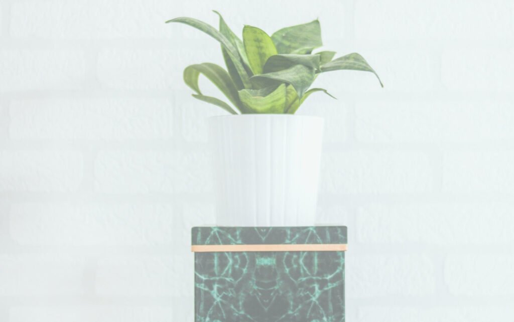 gardening services in raipur