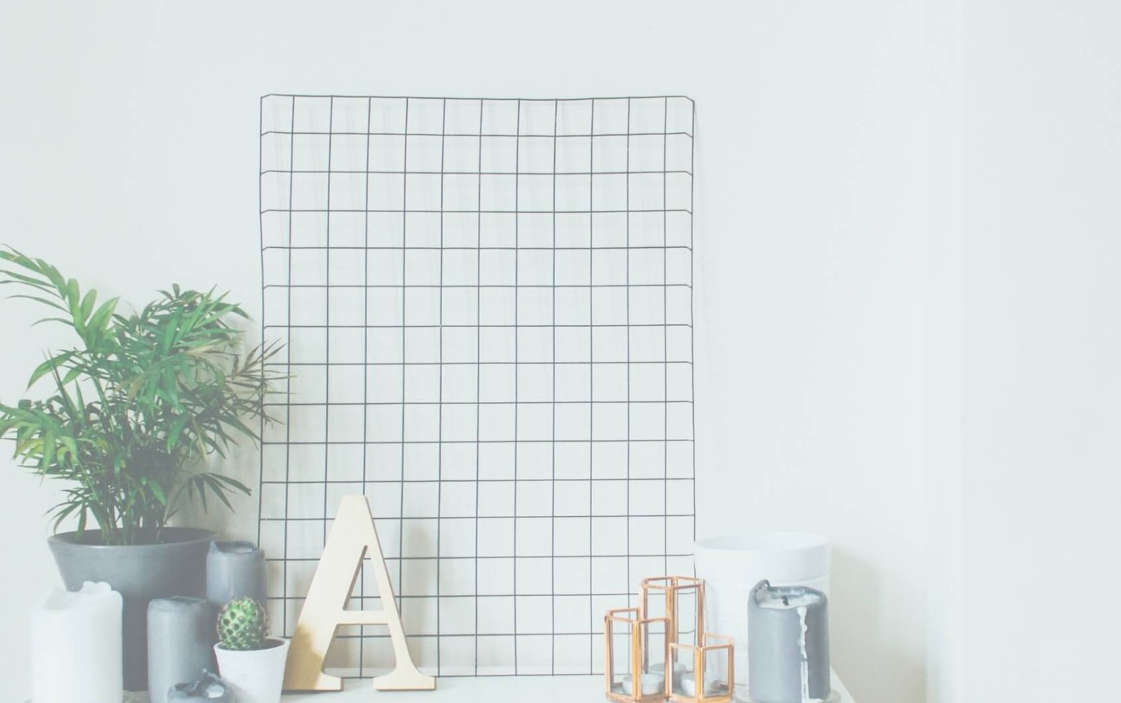 gardening services in raipur