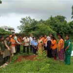 gardening service in raipur