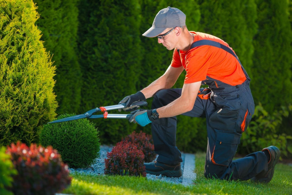 gardening service in raipur